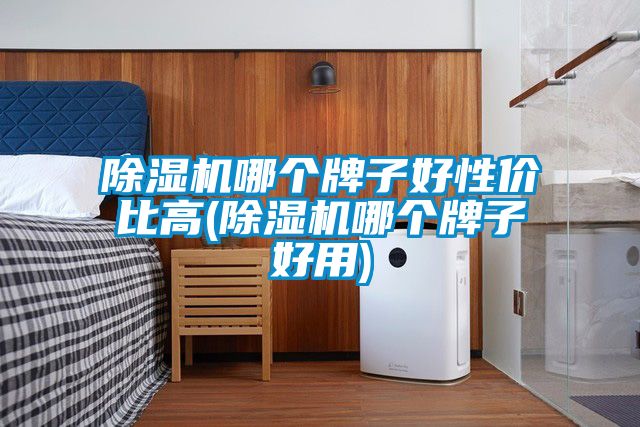 麻豆视频黄网站哪个牌子好性价比高(麻豆视频黄网站哪个牌子好用)