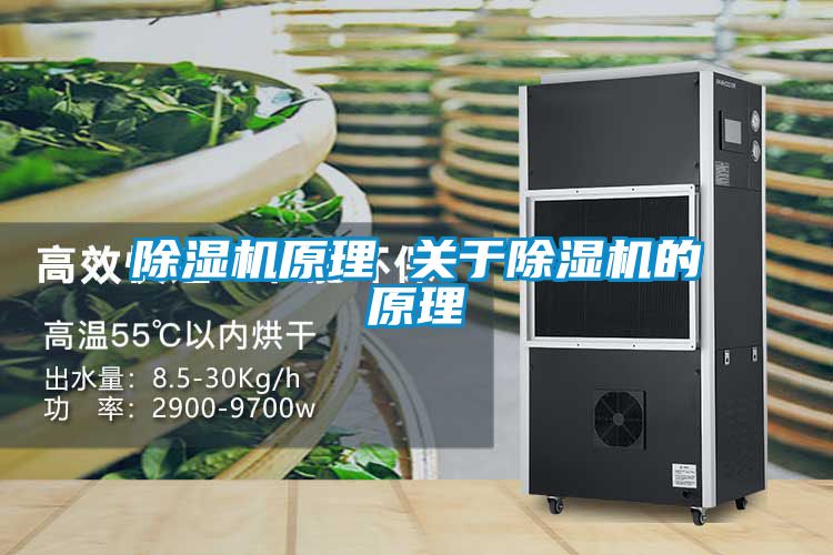 麻豆视频黄网站原理 关于麻豆视频黄网站的原理