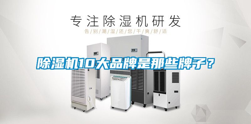 麻豆视频黄网站10大品牌是那些牌子？