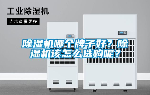 麻豆视频黄网站哪个牌子好？麻豆视频黄网站该怎么选购呢？