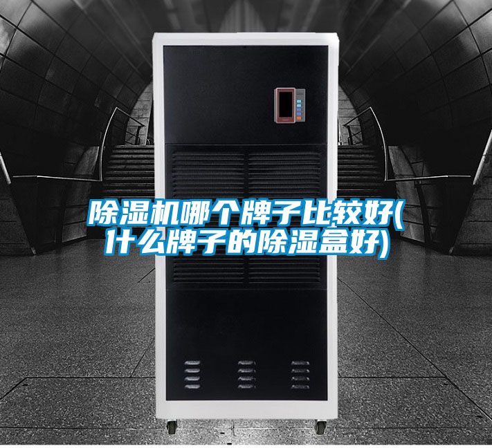 麻豆视频黄网站哪个牌子比较好(什么牌子的除湿盒好)