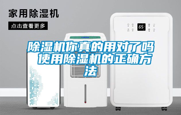 麻豆视频黄网站你真的用对了吗 使用麻豆视频黄网站的正确方法