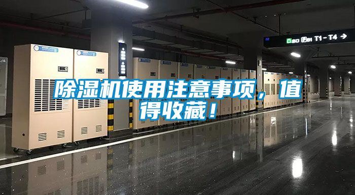 麻豆视频黄网站使用注意事项，值得收藏！
