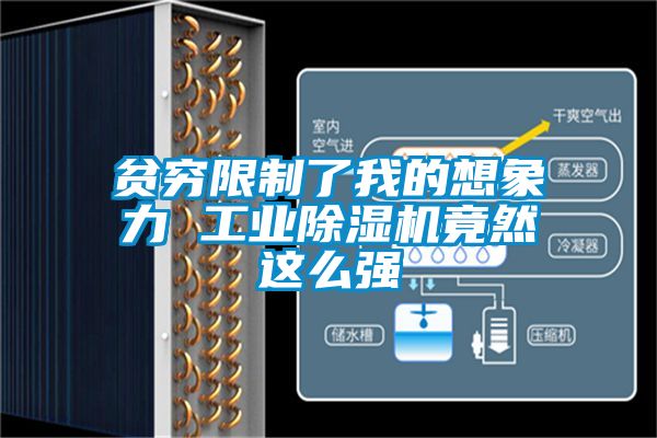 贫穷限制了我的想象力 工业麻豆视频黄网站竟然这么强