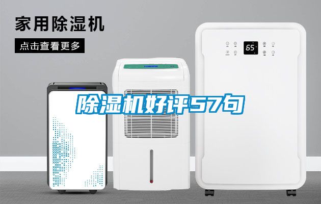麻豆视频黄网站好评57句