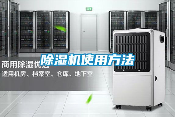 麻豆视频黄网站使用方法