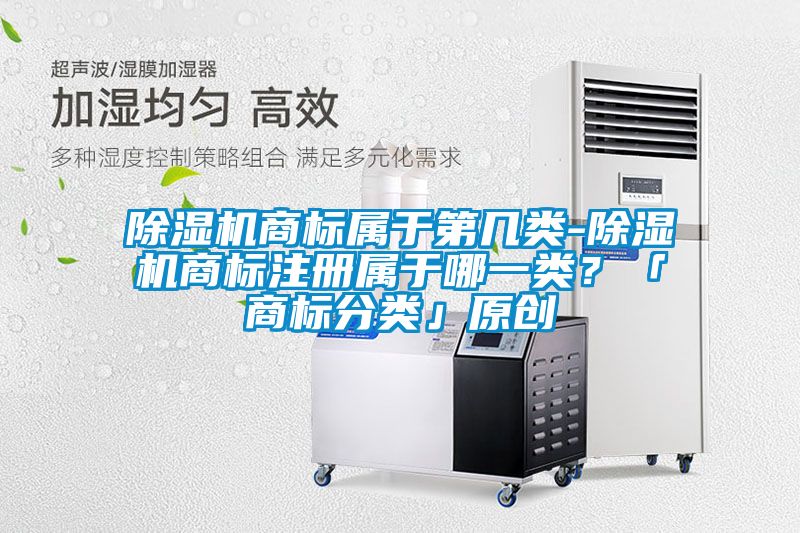 麻豆视频黄网站商标属于第几类-麻豆视频黄网站商标注册属于哪一类？「商标分类」原创