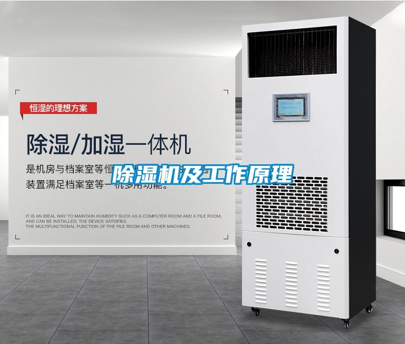 麻豆视频黄网站及工作原理