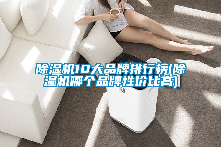 麻豆视频黄网站10大品牌排行榜(麻豆视频黄网站哪个品牌性价比高)