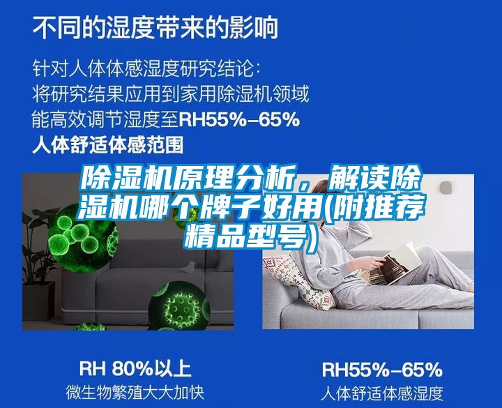 麻豆视频黄网站原理分析，解读麻豆视频黄网站哪个牌子好用(附推荐精品型号)