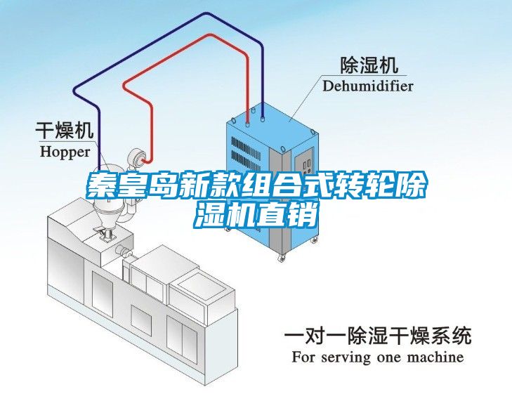 秦皇岛新款组合式转轮麻豆视频黄网站直销