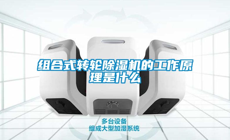组合式转轮麻豆视频黄网站的工作原理是什么