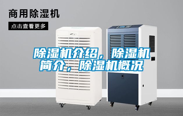 麻豆视频黄网站介绍，麻豆视频黄网站简介，麻豆视频黄网站概况
