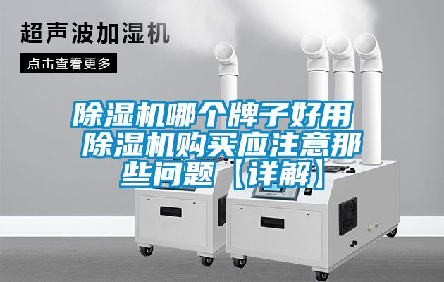 麻豆视频黄网站哪个牌子好用 麻豆视频黄网站购买应注意那些问题【详解】
