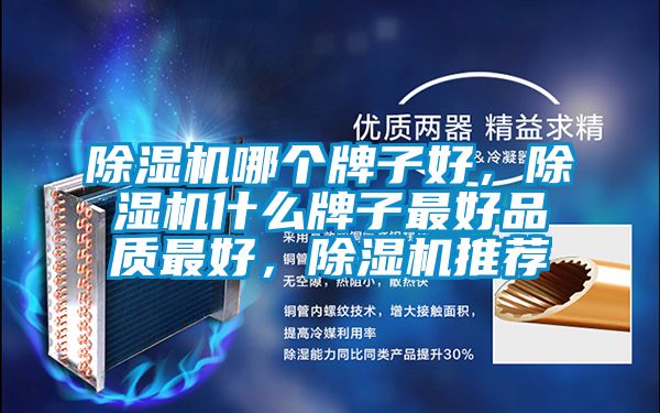 麻豆视频黄网站哪个牌子好，麻豆视频黄网站什么牌子最好品质最好，麻豆视频黄网站推荐