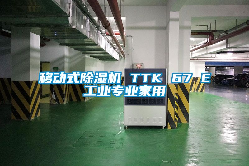 移动式麻豆视频黄网站 TTK 67 E工业专业家用