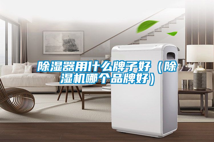 除湿器用什么牌子好（麻豆视频黄网站哪个品牌好）