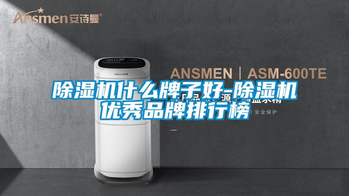 麻豆视频黄网站什么牌子好-麻豆视频黄网站优秀品牌排行榜