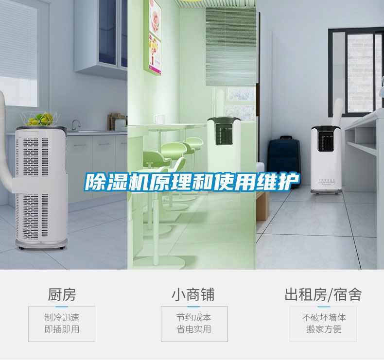 麻豆视频黄网站原理和使用维护