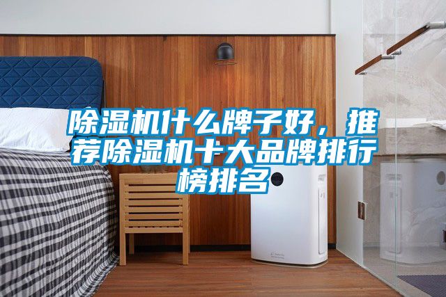 麻豆视频黄网站什么牌子好，推荐麻豆视频黄网站十大品牌排行榜排名
