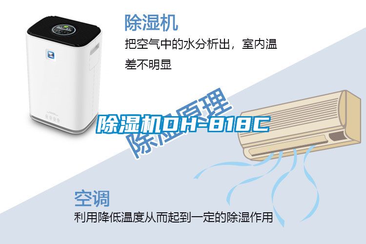 麻豆视频黄网站DH-818C