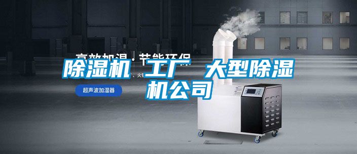 麻豆视频黄网站 工厂 大型麻豆视频黄网站公司