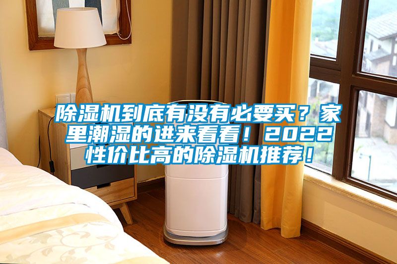 麻豆视频黄网站到底有没有必要买？家里潮湿的进来看看！2022性价比高的麻豆视频黄网站推荐！