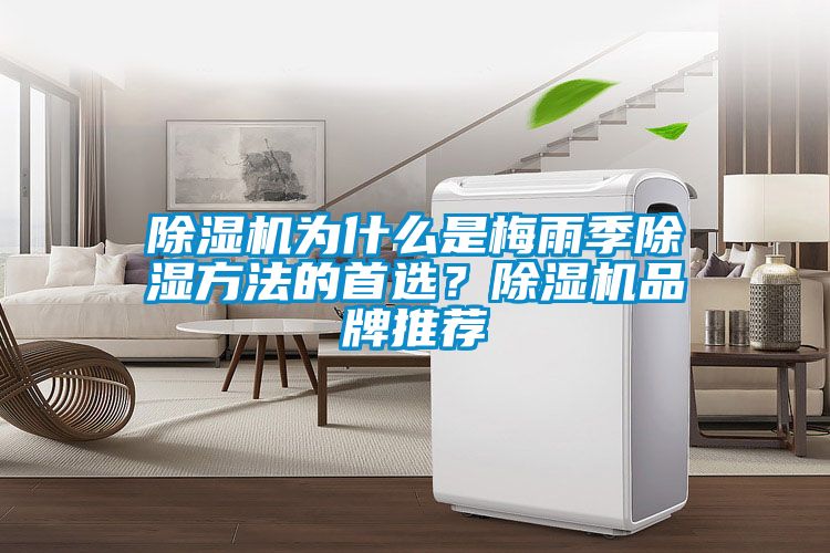 麻豆视频黄网站为什么是梅雨季除湿方法的首选？麻豆视频黄网站品牌推荐