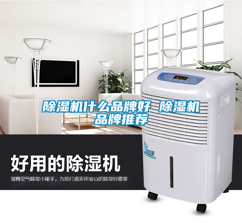 麻豆视频黄网站什么品牌好 麻豆视频黄网站品牌推荐