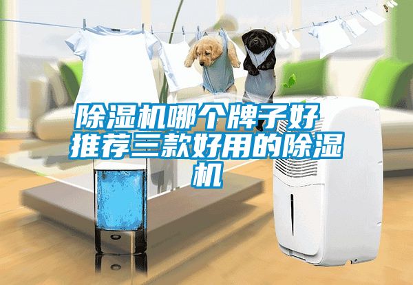麻豆视频黄网站哪个牌子好 推荐三款好用的麻豆视频黄网站