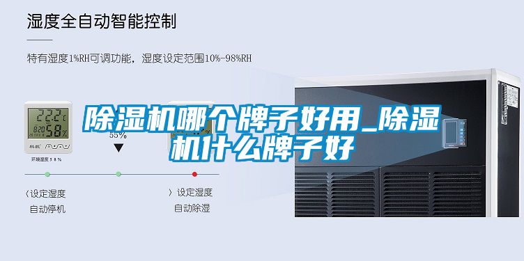 麻豆视频黄网站哪个牌子好用_麻豆视频黄网站什么牌子好