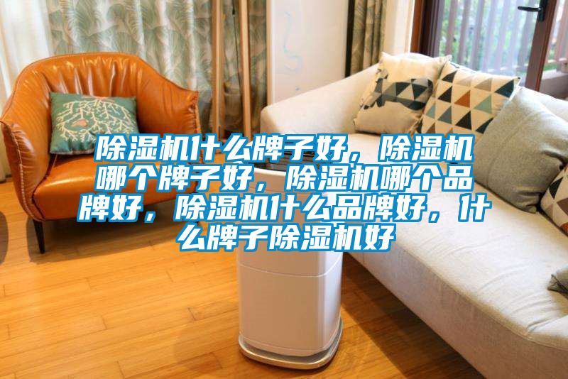 麻豆视频黄网站什么牌子好，麻豆视频黄网站哪个牌子好，麻豆视频黄网站哪个品牌好，麻豆视频黄网站什么品牌好，什么牌子麻豆视频黄网站好