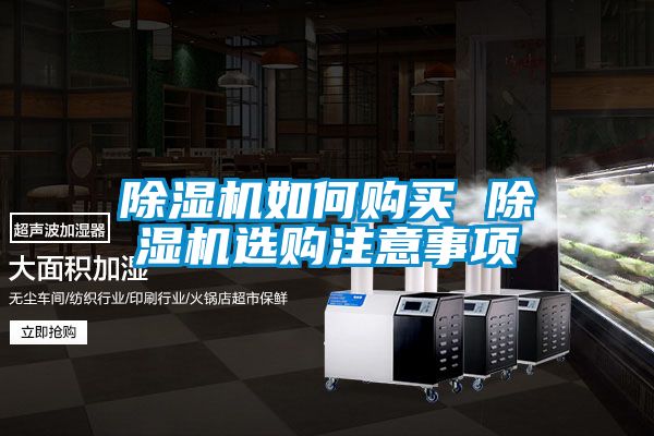 麻豆视频黄网站如何购买 麻豆视频黄网站选购注意事项