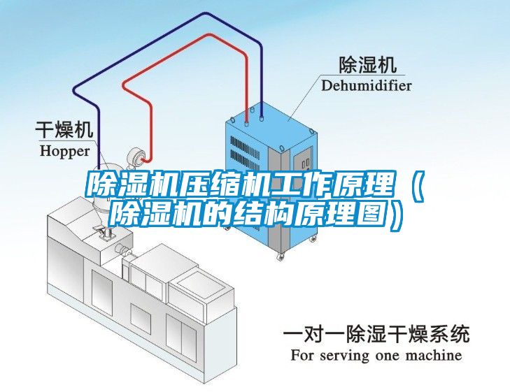 麻豆视频黄网站压缩机工作原理（麻豆视频黄网站的结构原理图）