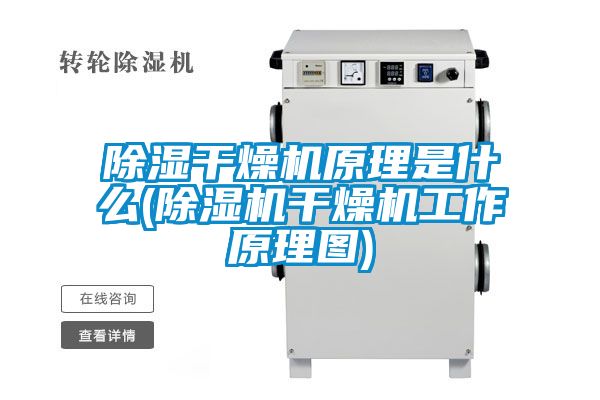 除湿干燥机原理是什么(麻豆视频黄网站干燥机工作原理图)