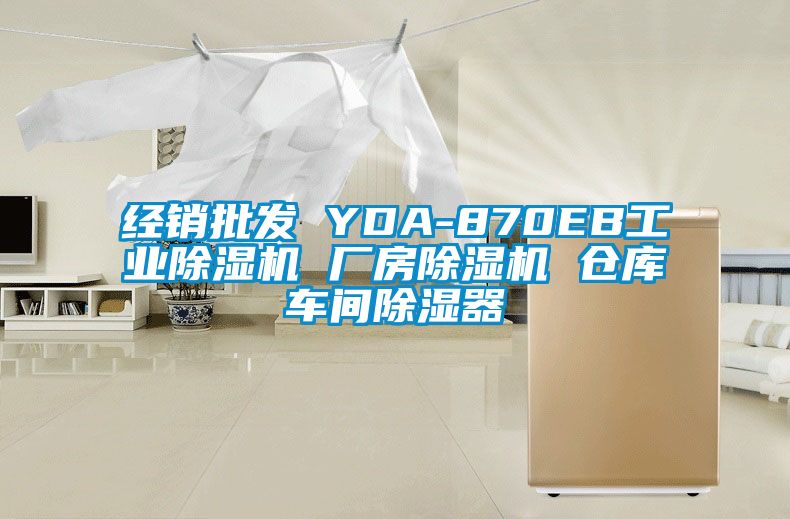 经销批发 YDA-870EB工业麻豆视频黄网站 厂房麻豆视频黄网站 仓库车间除湿器