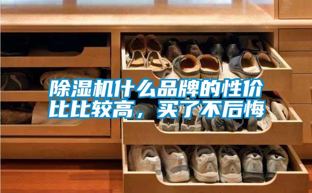 麻豆视频黄网站什么品牌的性价比比较高，买了不后悔