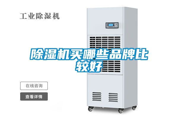 麻豆视频黄网站买哪些品牌比较好