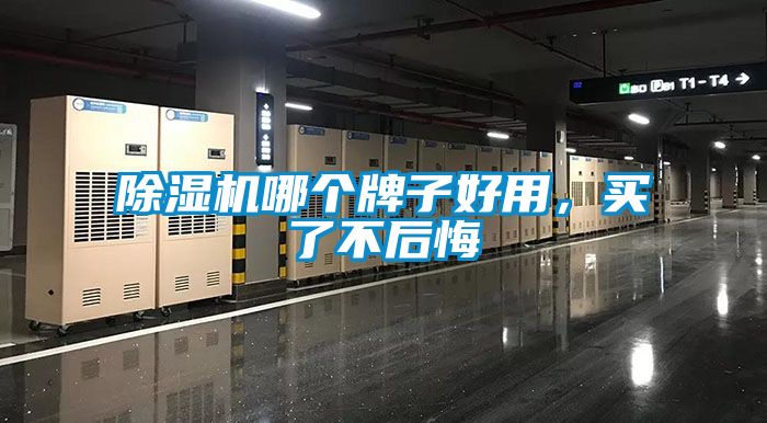 麻豆视频黄网站哪个牌子好用，买了不后悔