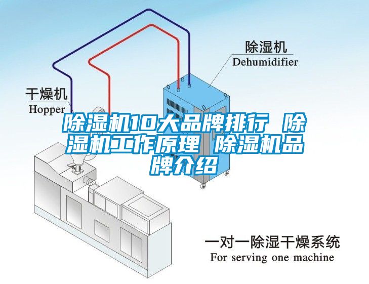 麻豆视频黄网站10大品牌排行 麻豆视频黄网站工作原理 麻豆视频黄网站品牌介绍