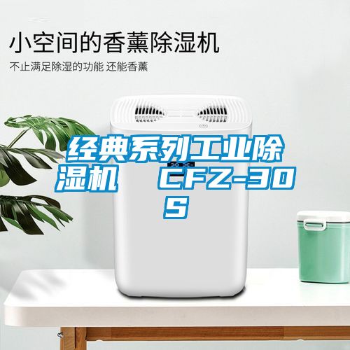 经典系列工业麻豆视频黄网站  CFZ-30S