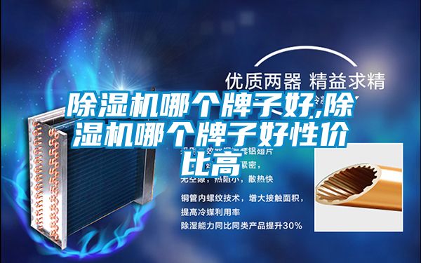 麻豆视频黄网站哪个牌子好,麻豆视频黄网站哪个牌子好性价比高