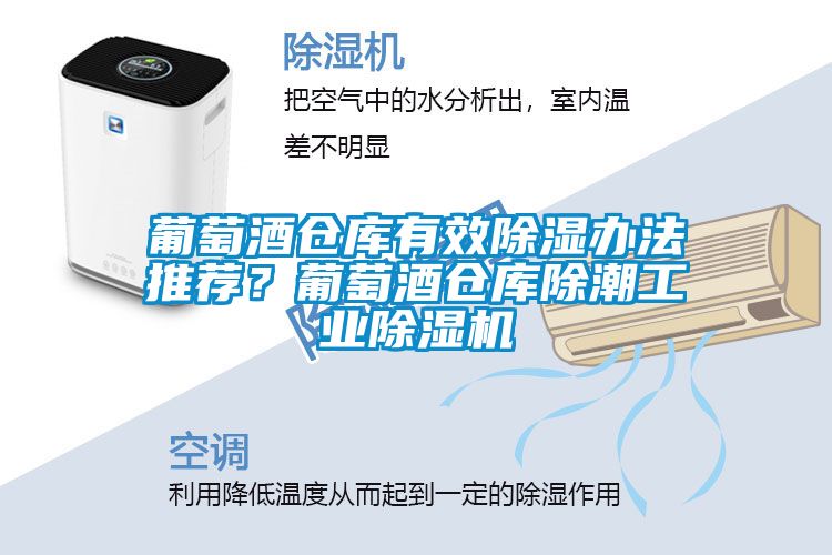 葡萄酒仓库有效除湿办法推荐？葡萄酒仓库除潮工业麻豆视频黄网站