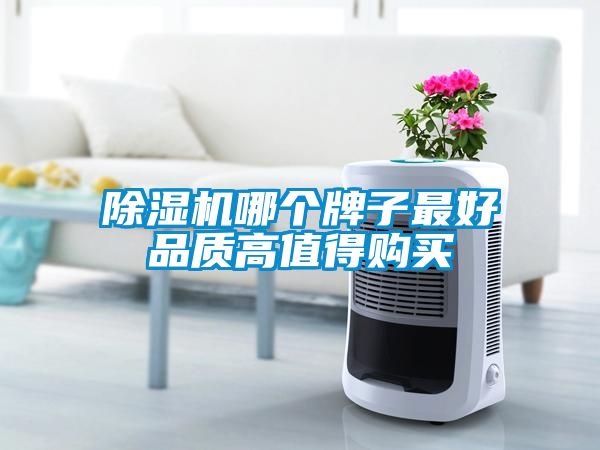 麻豆视频黄网站哪个牌子最好品质高值得购买