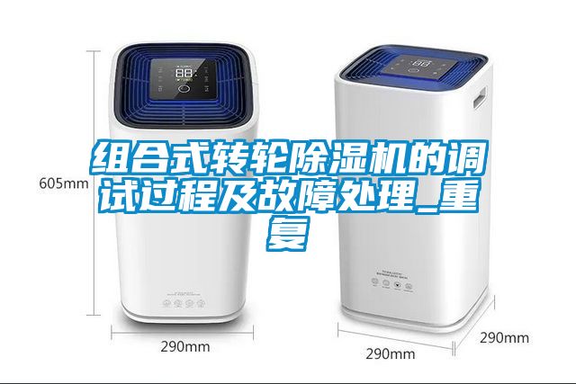 组合式转轮麻豆视频黄网站的调试过程及故障处理_重复