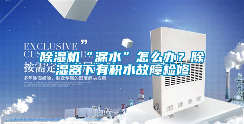 麻豆视频黄网站“漏水”怎么办？除湿器下有积水故障检修