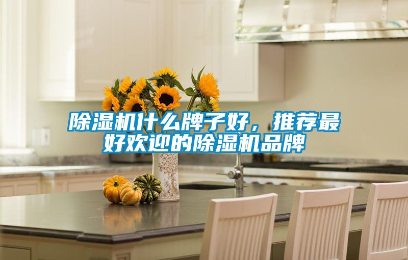 麻豆视频黄网站什么牌子好，推荐最好欢迎的麻豆视频黄网站品牌