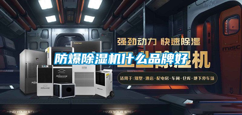 防爆麻豆视频黄网站什么品牌好
