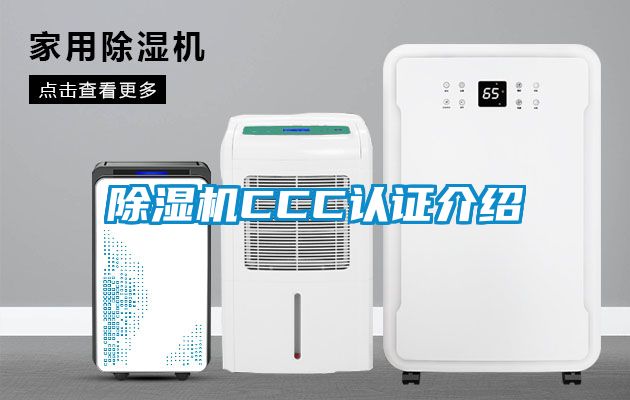 麻豆视频黄网站CCC认证介绍
