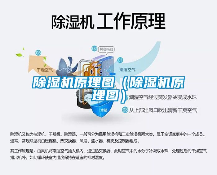 麻豆视频黄网站原理图（麻豆视频黄网站原理图）